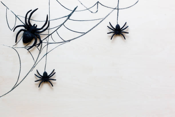 istock Halloween holiday background with spiders and web 857433974