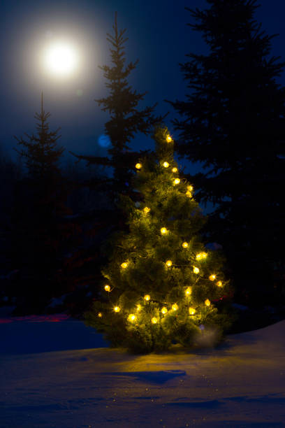 istock Christmas tree outdoor with christmas lights with moon 857437020