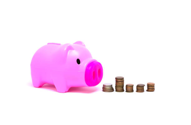 istock Pink piggy bank pink Isolated 857442298