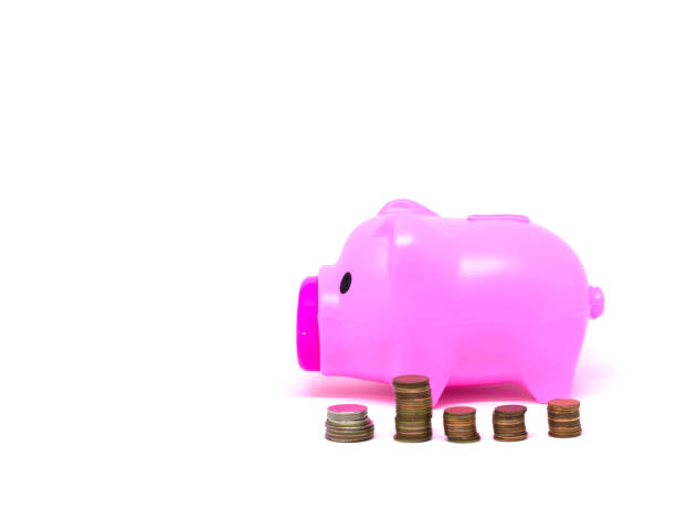 istock Pink piggy bank pink Isolated 857442340