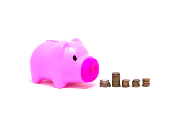 istock Pink piggy bank pink Isolated 857442432