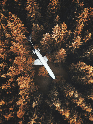 autumn forest aerial view in the washington state