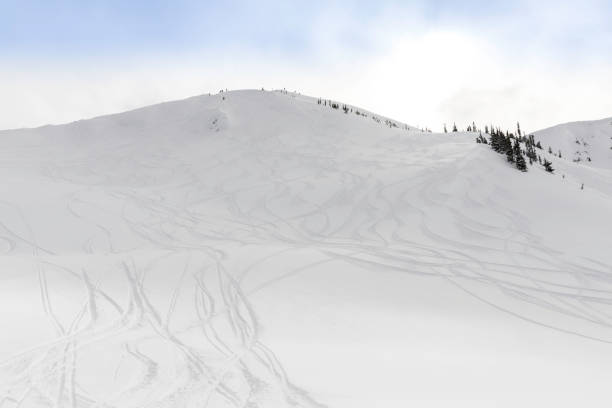 Backcountry Ski Snowboard Area in Nature Landscape Panorama With fresh tracks in powder snow