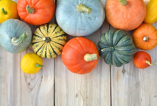 Pumpkins and squashes on wooden boards. Autumn background