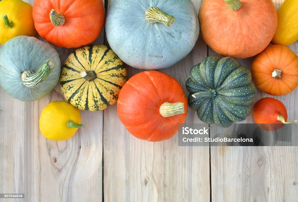 Pumpkins and squashes on wooden boards Pumpkins and squashes on wooden boards. Autumn background Vegetable Stock Photo