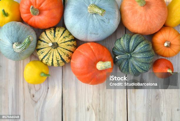 Pumpkins And Squashes On Wooden Boards Stock Photo - Download Image Now - Vegetable, Winter, Fruit