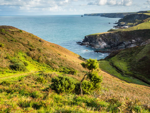 istock Coastal view Looking out to Tintagel in Cornwall 857455920