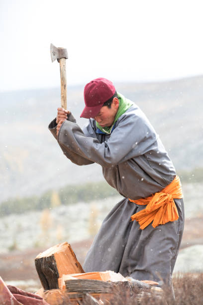 istock Young Mongolian man axing firewood. 857457328