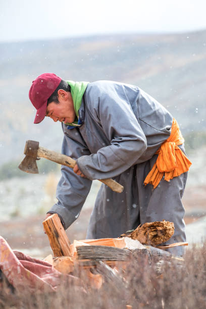 istock Young Mongolian man axing firewood. 857457334