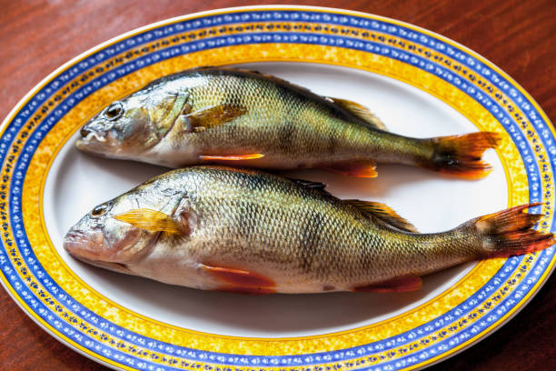 istock Two large perches lie on an oval dish 857463446