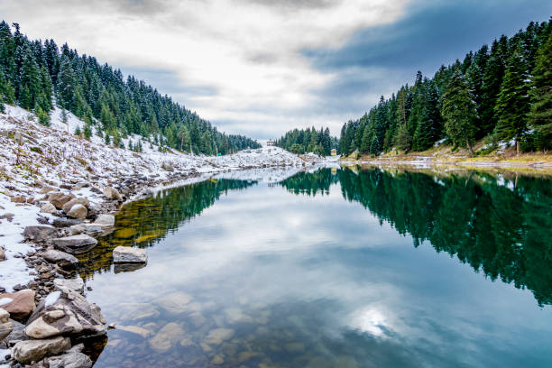 Snowy winter day at Durrance Lake, located on southern Vancouver Island.