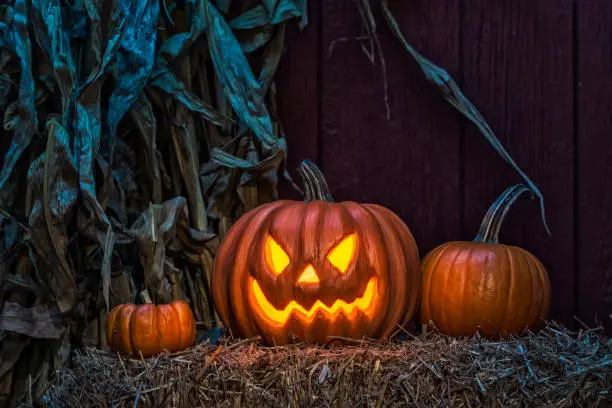 A carved glowing scary Jack O' Lantern looking at the camera with other smaller pumpkins sitting on a bale of straw with dried corn stalks and a weather red barn wall in the background at night under a blue moon light.