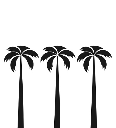 Three tall palm trees. Vector illustration