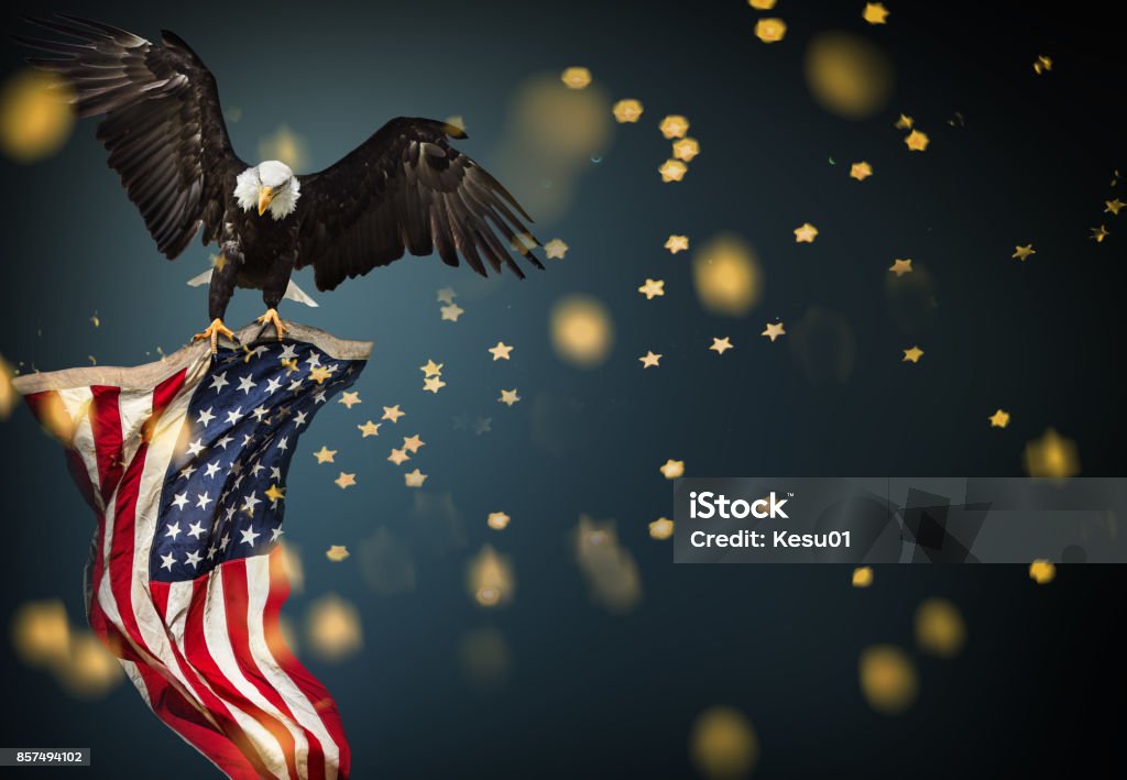 Bald Eagle flying with American flag North American Bald Eagle flying with American flag. Patriotic concept. Eagle - Bird Stock Photo