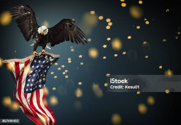 Bald Eagle Flying With American Flag Stock Photo - Download Image Now - Eagle - Bird, Fourth of July, Bald Eagle