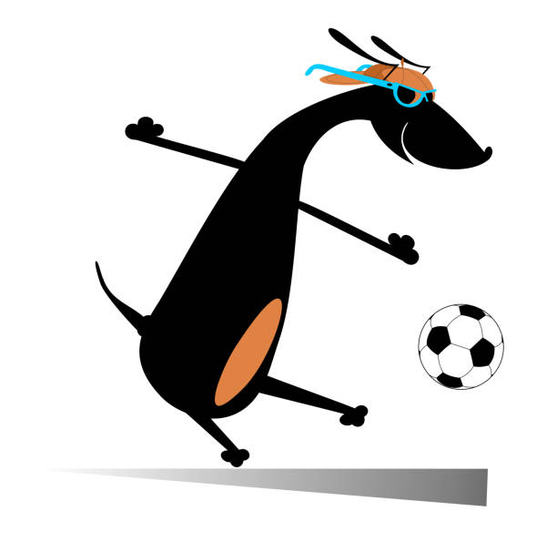 ilustrações, clipart, desenhos animados e ícones de cachorro jogando futebol isolado - football player