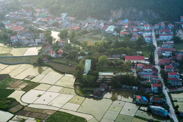 istock Rice field in Bac Son valley in Vietnam 857501638