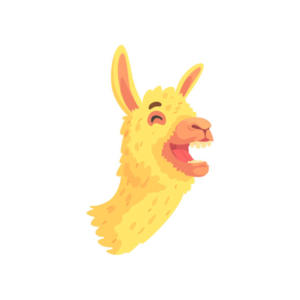 istock Funny laughing llama character, cute alpaca animal cartoon vector Illustration 857505210