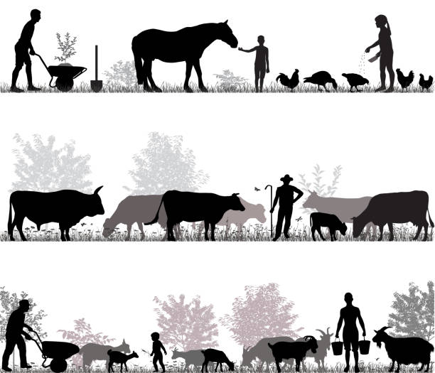Family of farmers Silhouettes of farmers at work and farm animals animal related occupation stock illustrations