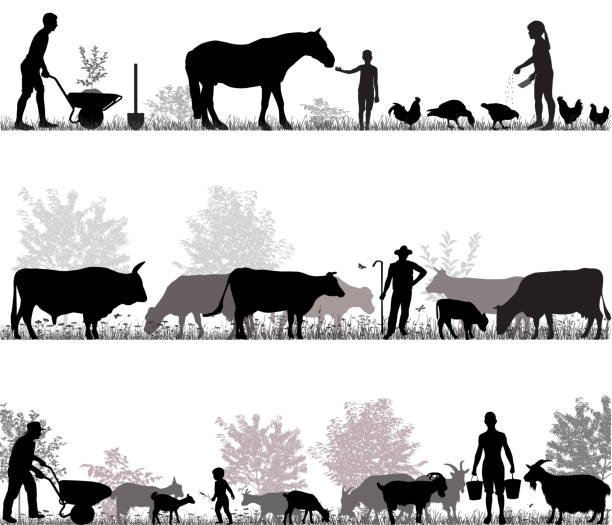 Family of farmers Silhouettes of farmers at work and farm animals horse outlines silhouette stock illustrations