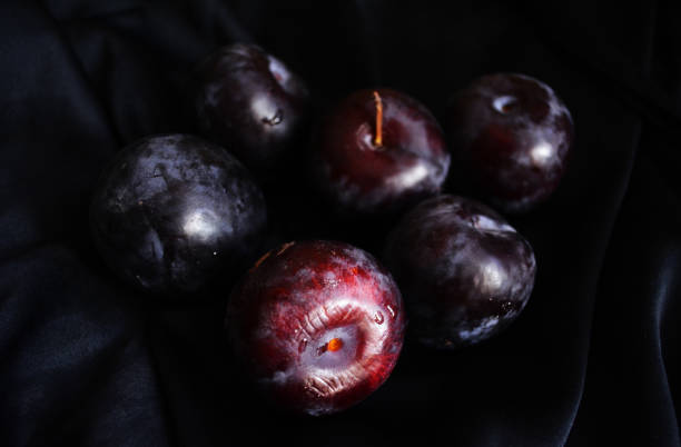 harvest plum