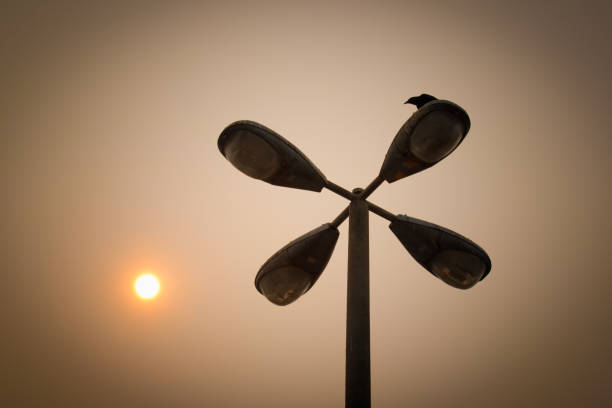 A crow sits on streetlamps while the sun is almost covered by the smoke from forest fires.