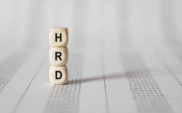 istock Word HRD made with wood building blocks 857541848