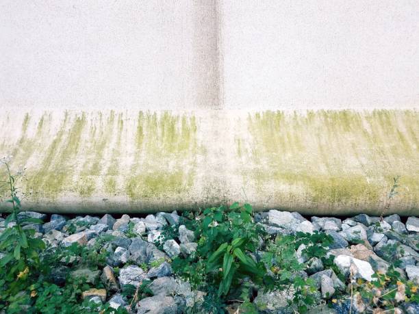 istock many grey, white, and blue rocks on the ground and dirty cement wall 857556934
