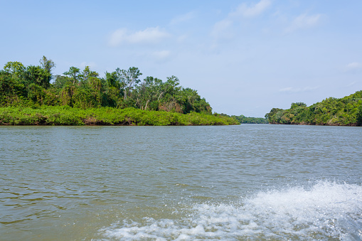 Panorama from Pantanal, Brazilian wetland region. Navigable lagoon. South America landmark