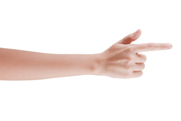 istock Female hand pressing touchscreen or pointing to something 857562480