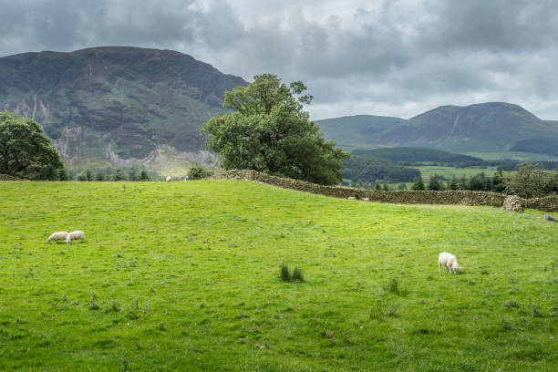 istock View of the area around Crummock Water, Lake District UK 857565680