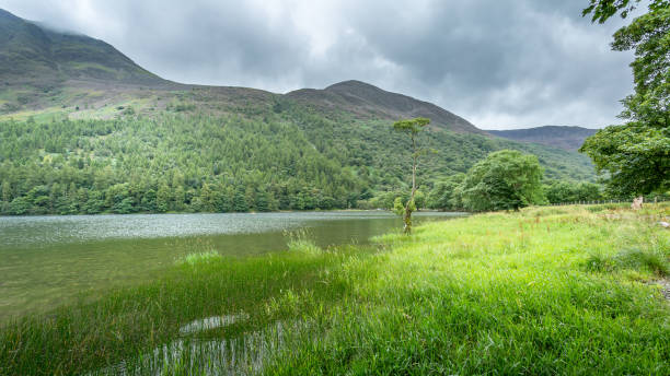 istock View of Buttermere, Lake District UK 857565798