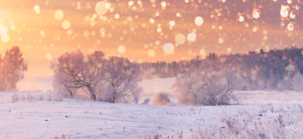 christmas  background - christmas winter sunset snow imagens e fotografias de stock