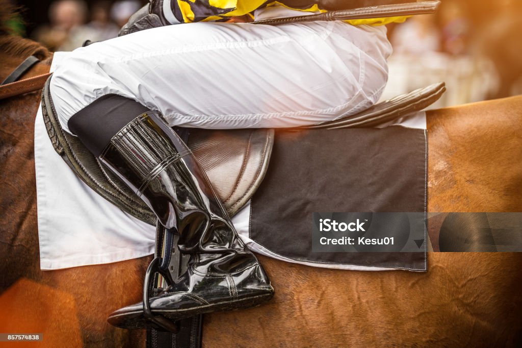 Race horse with jockey, close-up Race horse with leg of jockey, close-up. Jockey Stock Photo