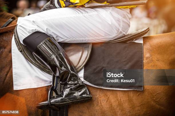 Race Horse With Jockey Closeup Stock Photo - Download Image Now - Jockey, Close-up, Racehorse