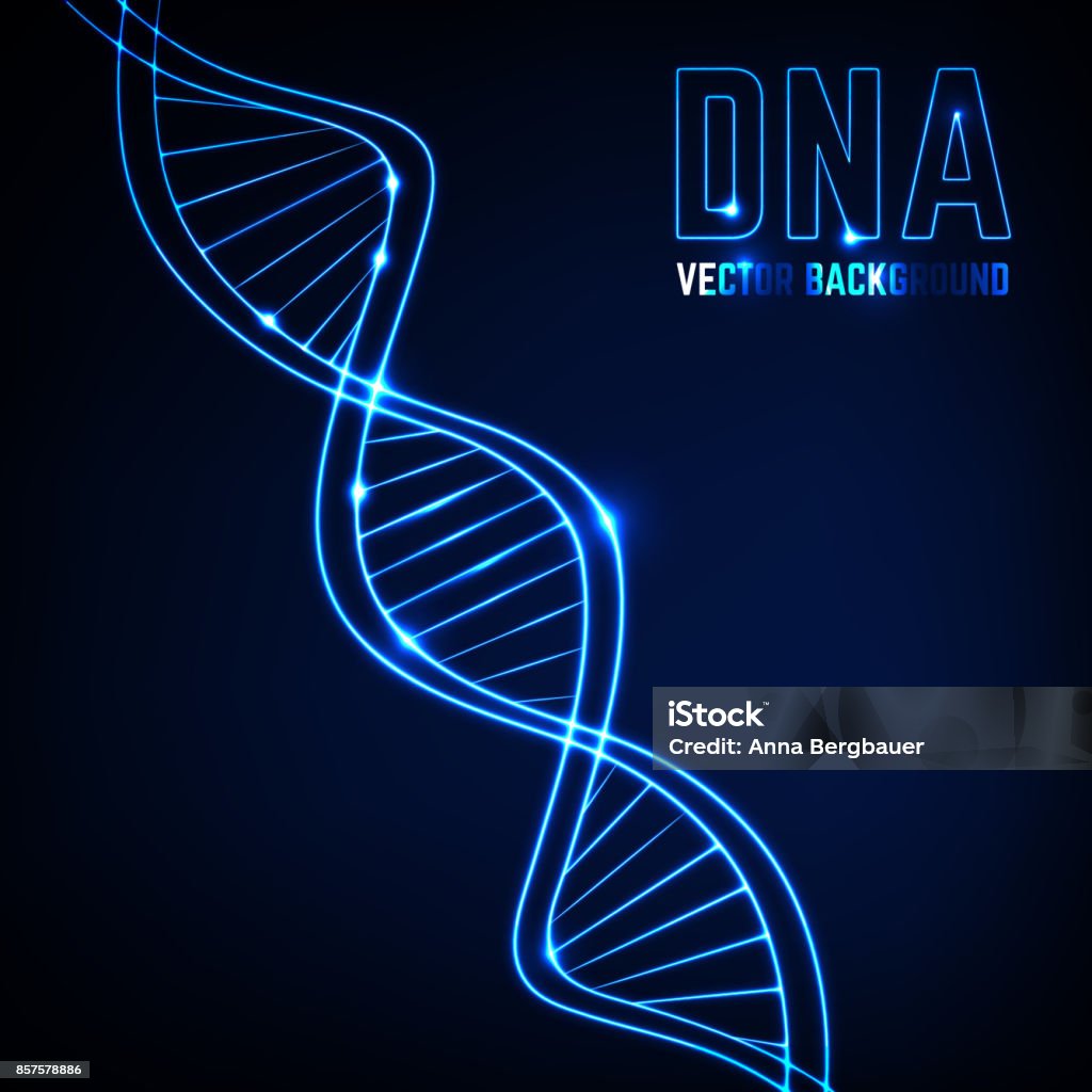 Hình Ảnh Phân Tử Dna Hình minh họa Sẵn có - Tải xuống Hình ảnh ...