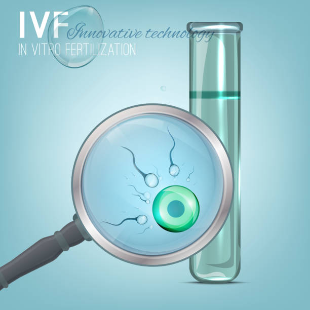 illustrazioni stock, clip art, cartoni animati e icone di tendenza di immagine di fecondazione in vitro - human sperm pregnancy test artificial insemination human pregnancy