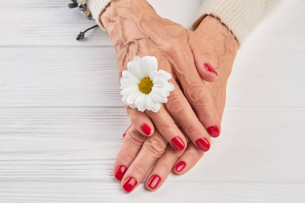 istock Little white chrysanthemum and female hands. 857585276
