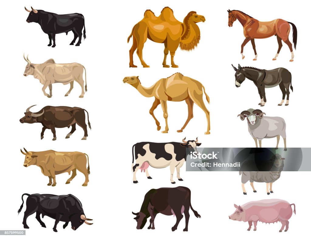 Conjunto de animales de granja - arte vectorial de Concept Does Not Exist libre de derechos