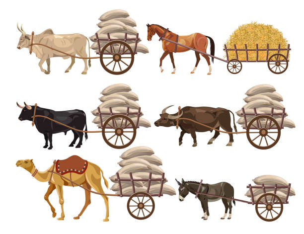 transport z napędem zwierzęcym - ox wóz stock illustrations
