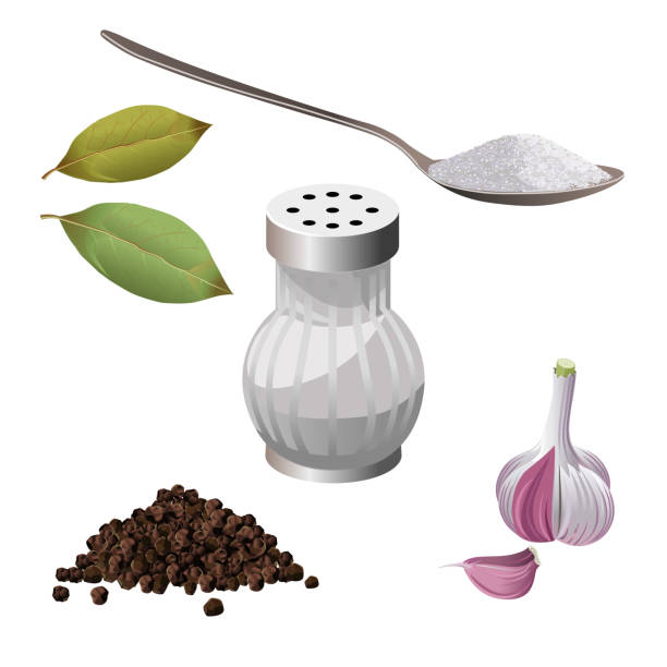 illustrazioni stock, clip art, cartoni animati e icone di tendenza di vettore dell'insieme delle spezie - salt shaker salt pepper shaker pepper