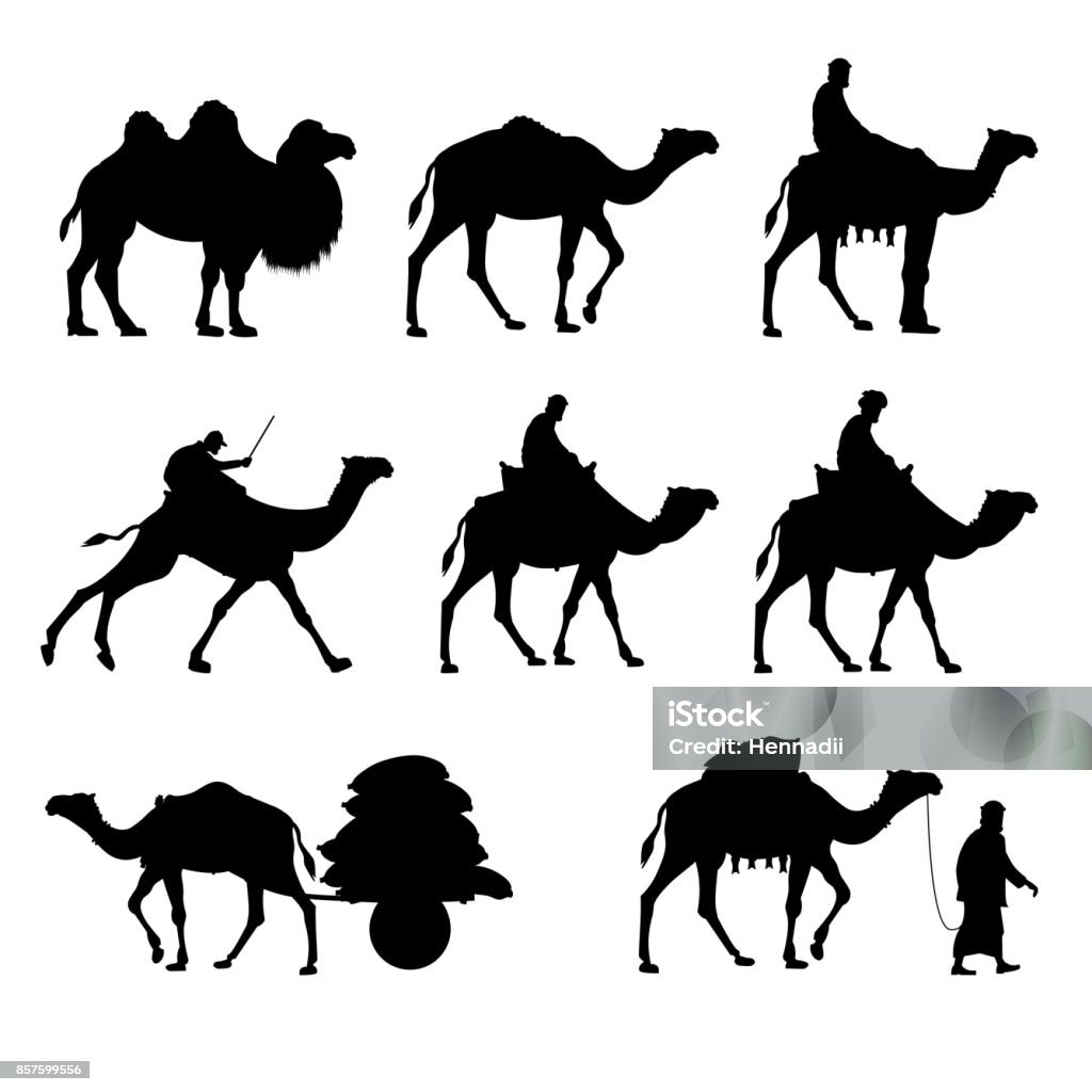 Siluetas vectoriales de camellos. - arte vectorial de Camello libre de derechos
