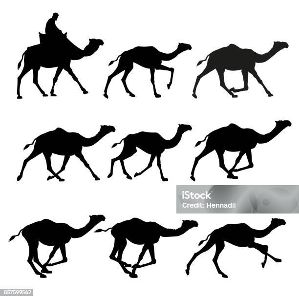 Ilustración de Siluetas Vectoriales De Camellos y más Vectores Libres de Derechos de Camello - Camello, Correr, Actividad al aire libre