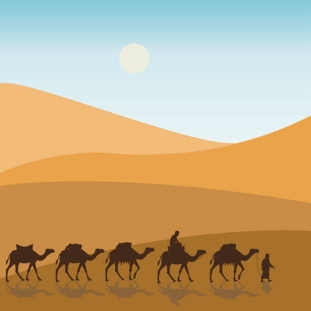 ilustraciones, imágenes clip art, dibujos animados e iconos de stock de caravana en el desierto - camello dromedario