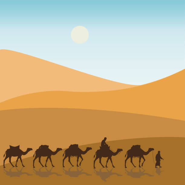 Caravan in the desert Caravan in the desert. Vector illustration dromedary camel stock illustrations