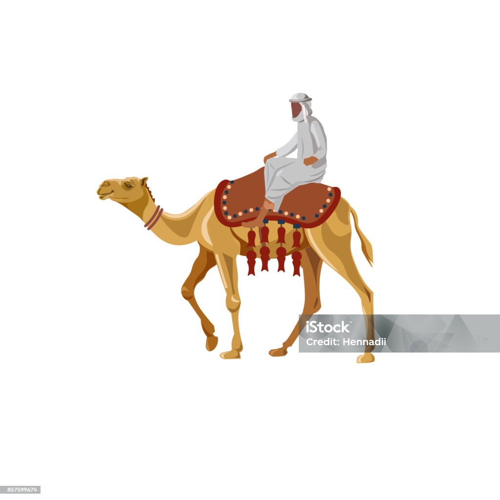 Arab man riding a camel Arab man riding a camel. Vector illustration isolated on white background Camel stock vector
