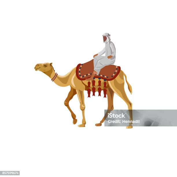 Arab Man Riding A Camel Stock Illustration - Download Image Now - Camel, Desert Area, Men