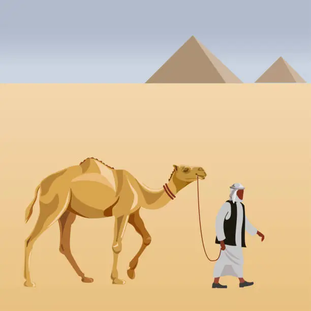Vector illustration of Cameleer with camel
