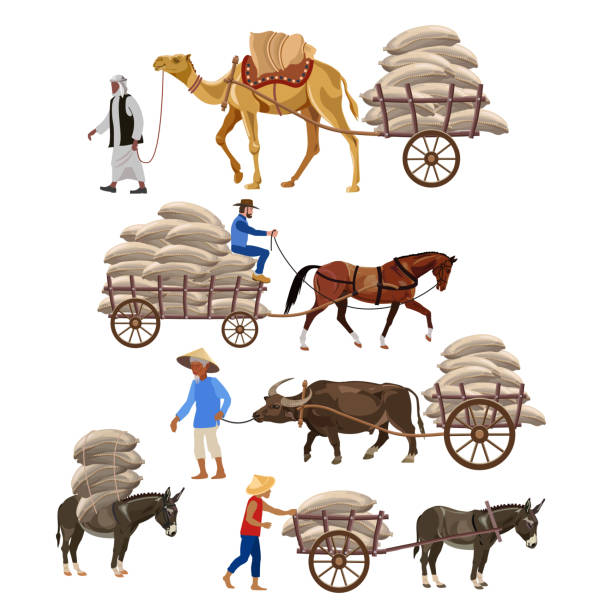 Draft animals vector Set of vector vehicles with draft animals: camel, horse, water buffalo, and donkey. Vector illustration dromedary camel stock illustrations