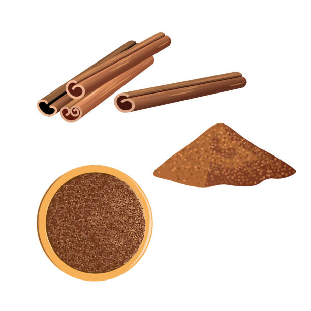 stockillustraties, clipart, cartoons en iconen met kaneel vector set - kaneel